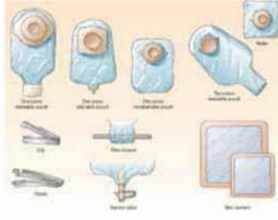 ইনটেক ও আউটপুট চার্ট