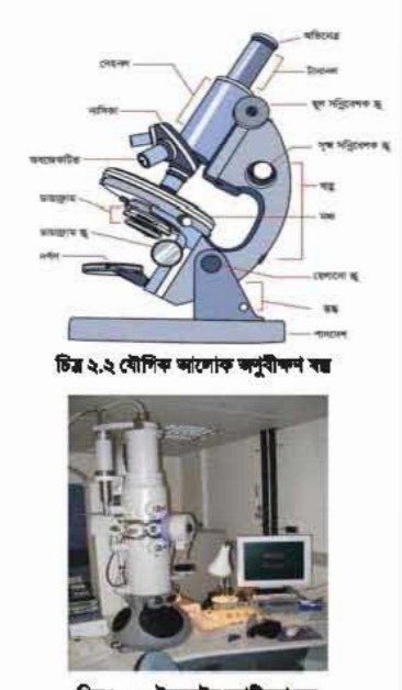 জীবানু সনাক্তকরণ