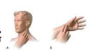 প্রাথমিক চিকিৎসার মৌলিক ধারণা