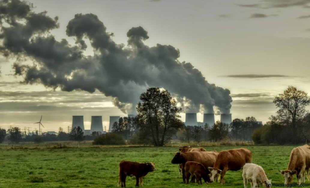 বর্জ্য ব্যবস্থাপনা