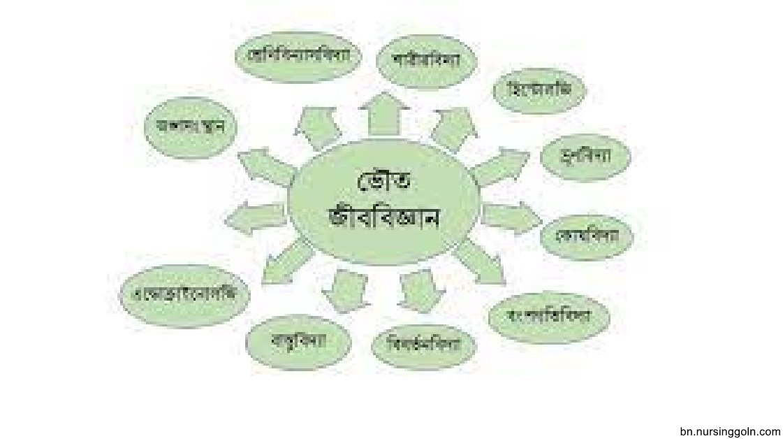 জীববিজ্ঞানের শাখাসমুহ