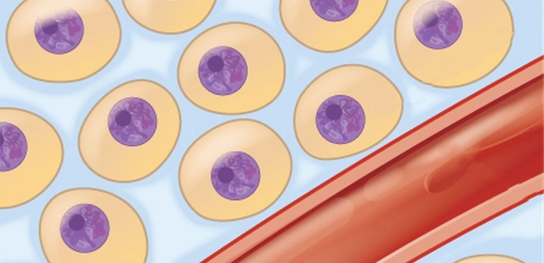 মানবদেহের তরল পদার্থ