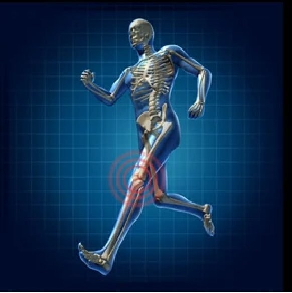 মানুষের চলনে অস্থি ও পেশির ভূমিকা