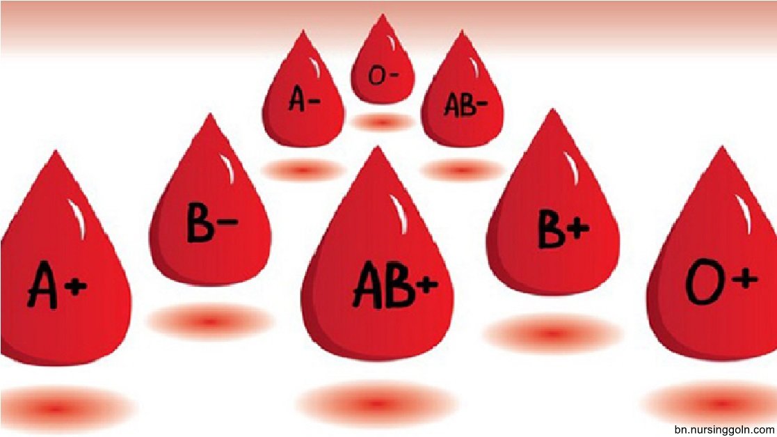 মানবদেহে রক্ত