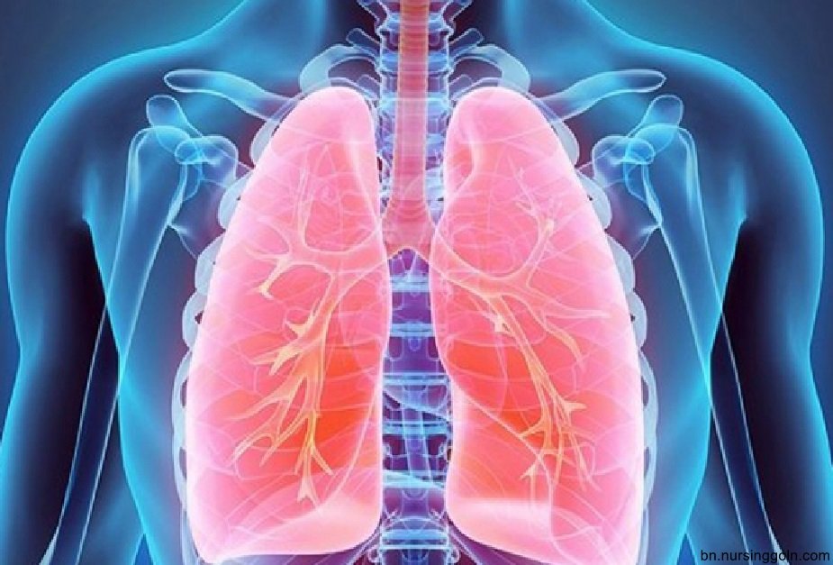 শ্বাসপ্রশ্বাসের হার বা রেসপিরেটরি রেট