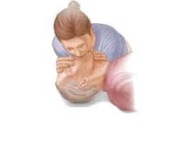 কার্ডিও পালমোনারী রিসাসিটেশন