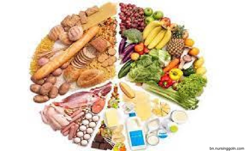 খাদ্য ও পুষ্টির প্রাথমিক ধারণার প্রয়োগ অনুশীলনী