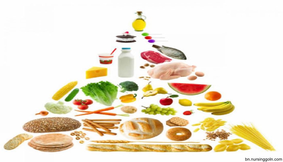 দৈনন্দিন খাদ্যতালিকা পরিকল্পনার নির্দেশনা