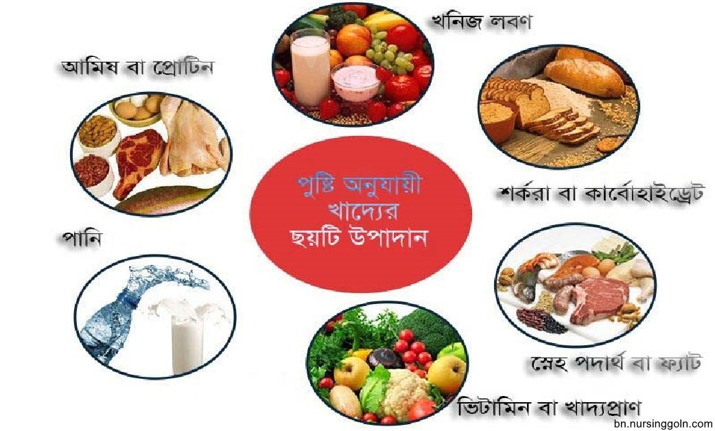 পুষ্টি উপাদান, উৎস ও গুরুত্ব