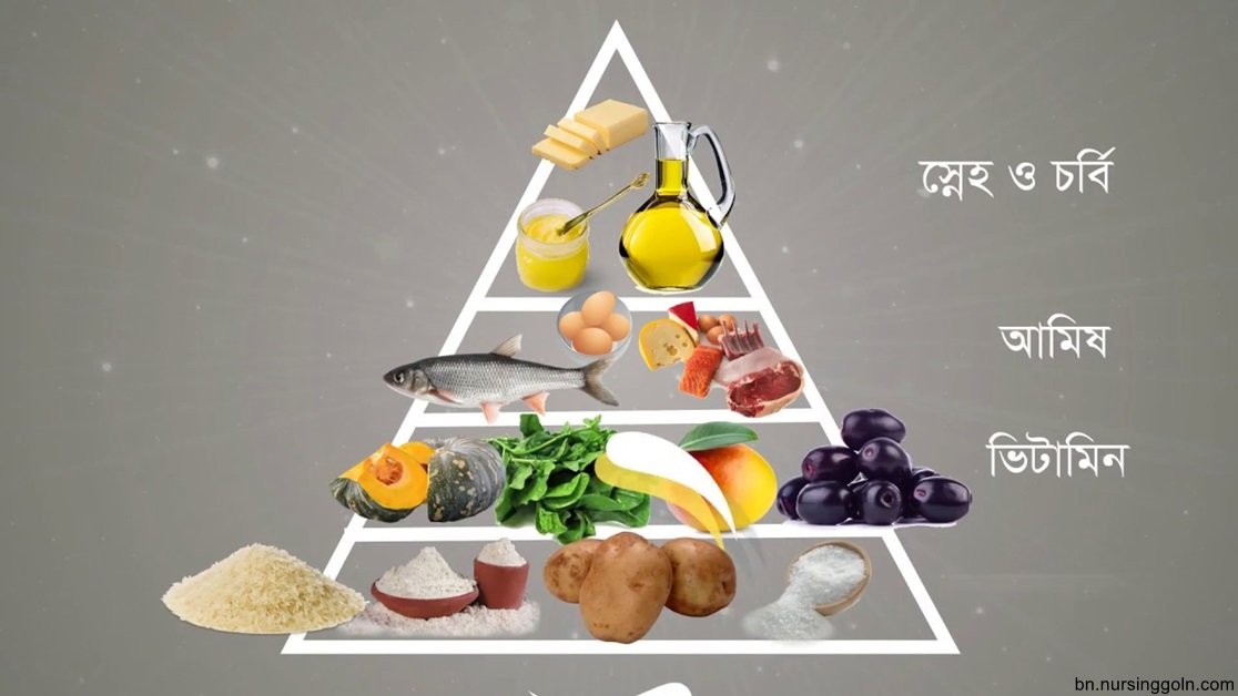 সুষম খাদ্যতালিকা ও তার প্রয়োজনীয়তা 