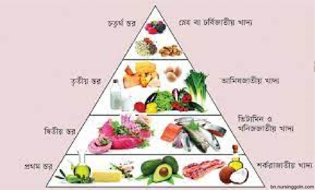 সুষম খাদ্যতালিকা ও তার প্রয়োজনীয়তা 