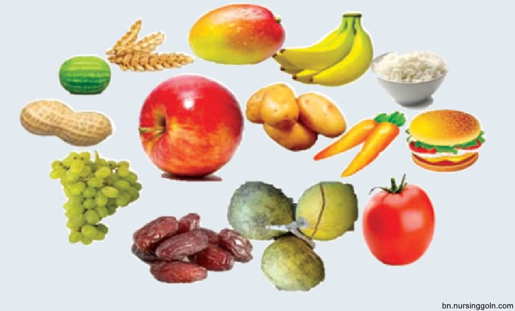 সুষম খাদ্যতালিকা ও তার প্রয়োজনীয়তা 