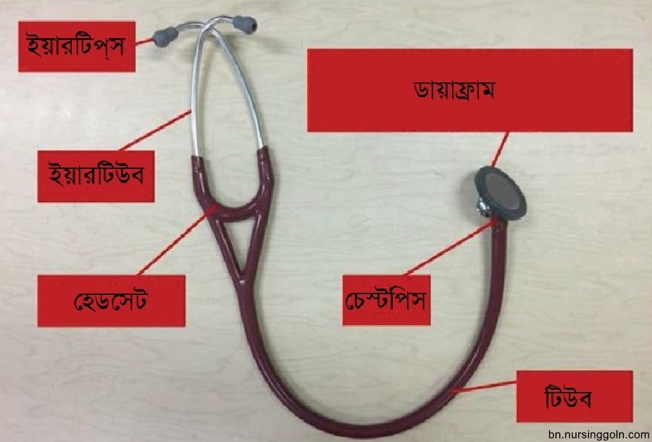 রক্তচাপ পরিমাপের পদ্ধতি