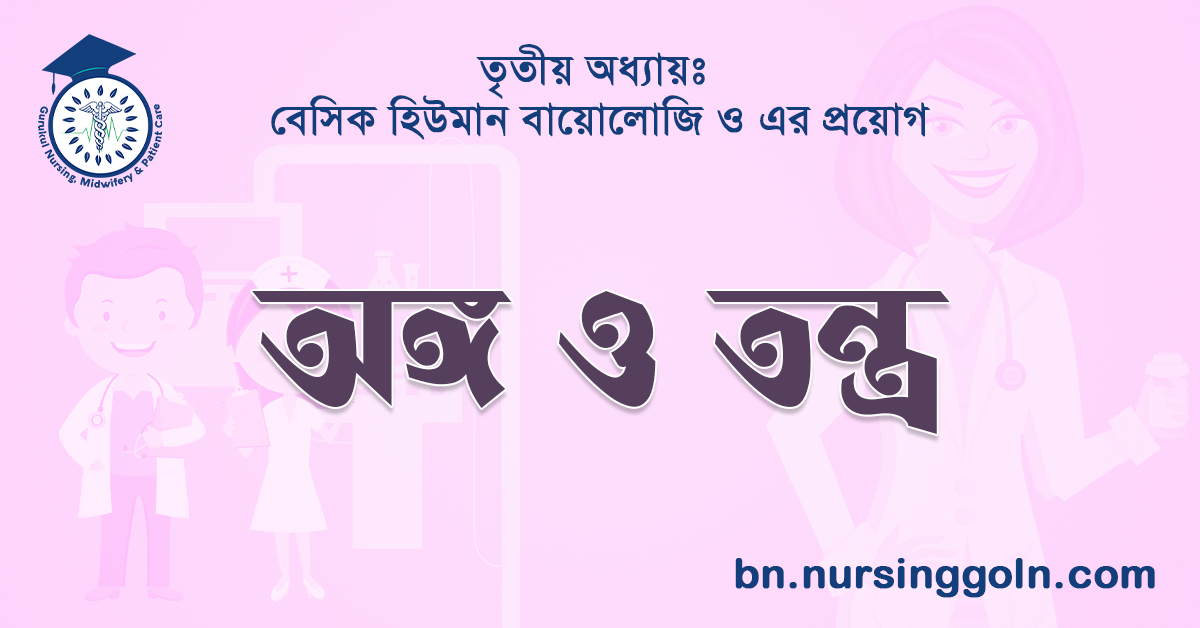 অঙ্গ ও তন্ত্র