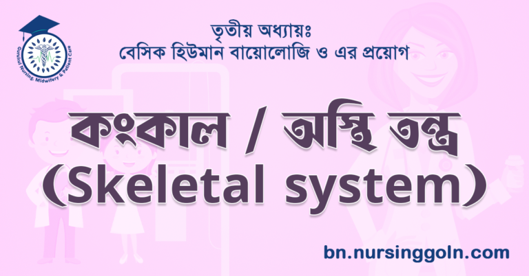 কংকাল / অস্থি তন্ত্র (Skeletal system)