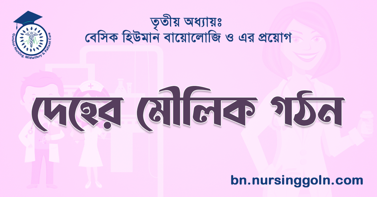 দেহের মৌলিক গঠন