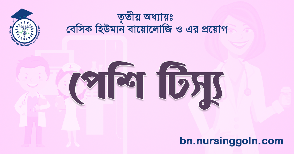 পেশি টিস্যু