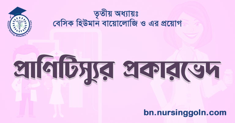 প্রাণিটিস্যুর প্রকারভেদ