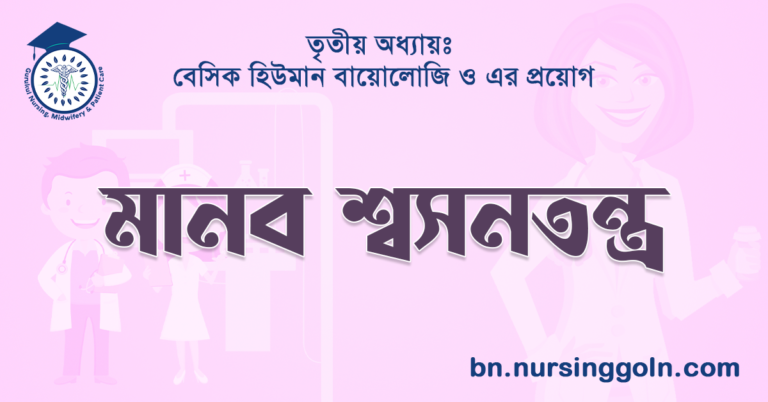 মানব শ্বসনতন্ত্র