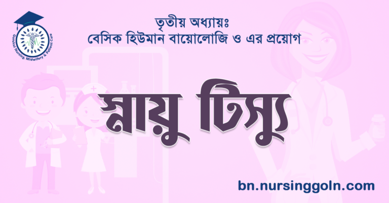 স্নায়ু টিস্যু