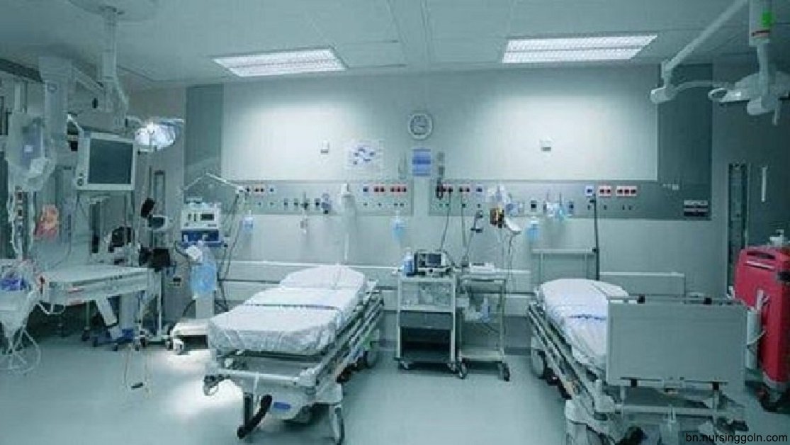 হাসপাতালে প্রদত্ত সেবাসমূহ