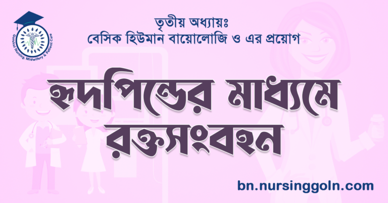 হৃদপিন্ডের মাধ্যমে রক্তসংবহন