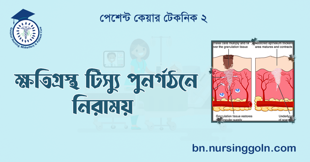 ক্ষতিগ্রস্থ টিস্যু পুনর্গঠনে নিরাময় 