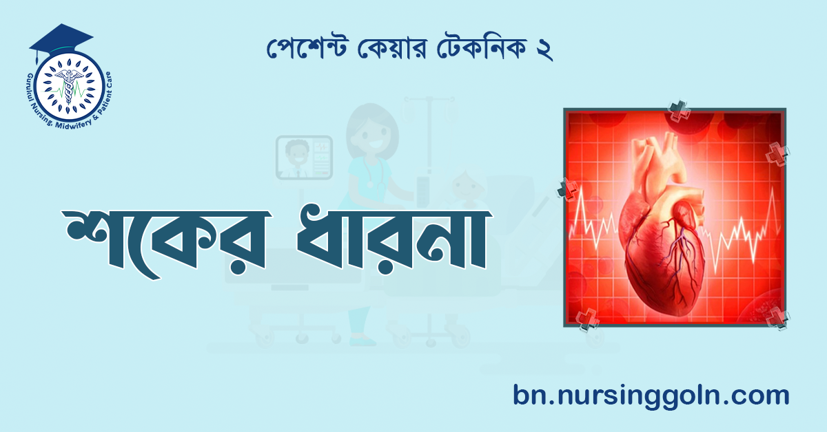 শকের ধারনা